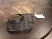 Maskownica / Grill / Atrapa górna chłodnicy