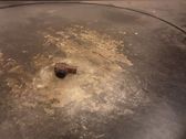 Parking PDC sensor