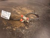 AdBlue injector