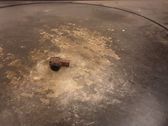 Parking PDC sensor