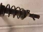 Front shock absorber with coil spring