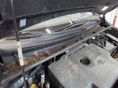 Wiper trim