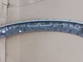 Rear/tail light trim molding