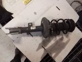 Front shock absorber with coil spring