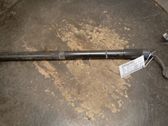 Tailgate/trunk strut/damper
