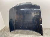 Motorhaube