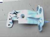 Tailgate/trunk/boot hinge