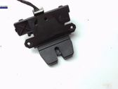 Tailgate/trunk/boot lock/catch/latch
