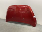 Engine bonnet/hood