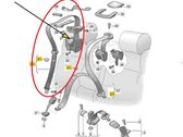 Rear seatbelt