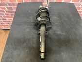 Front shock absorber with coil spring