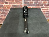 Rear shock absorber/damper