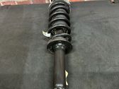 Rear shock absorber/damper