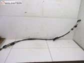 Cable del embrague
