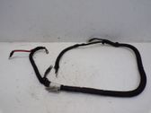 Otros cableados