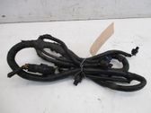 Other wiring loom