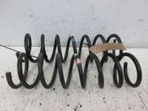 Rear coil spring