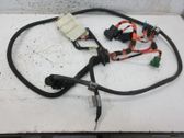 Other wiring loom