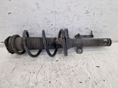 Amortiguador delantero con muelle espiral