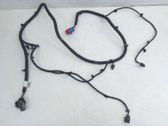 Other wiring loom