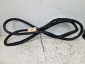Rear door rubber seal (on body)