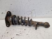 Rear shock absorber with coil spring