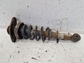 Front shock absorber with coil spring