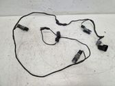 Other wiring loom