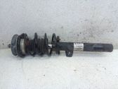 Amortiguador delantero con muelle espiral