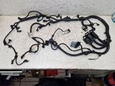 Faisceau de câblage pour moteur
