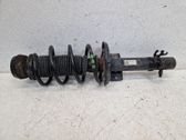 Amortiguador delantero con muelle espiral