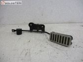 Conjunto de pedal