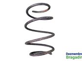 Front coil spring