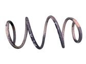 Front coil spring