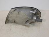 Front fender indicator light