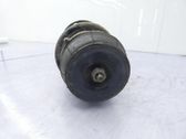 Front shock absorber with coil spring