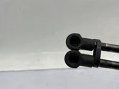 Tailgate/trunk strut/damper