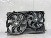 Electric radiator cooling fan