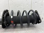 Front shock absorber with coil spring