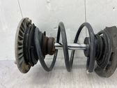 Front shock absorber with coil spring
