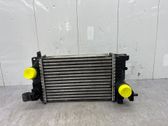 Intercooler radiator
