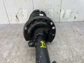 Front shock absorber with coil spring