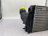 Intercooler radiator