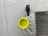 Intercooler radiator