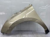 Fender