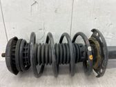 Front shock absorber with coil spring