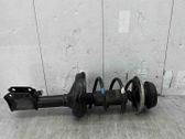 Front shock absorber with coil spring
