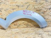 Fender trim (molding)