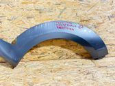 Fender trim (molding)