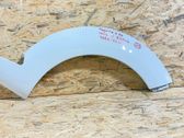 Fender trim (molding)